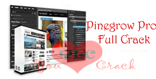 Pinegrow Web Designer 5.941 Crack FREE Download
